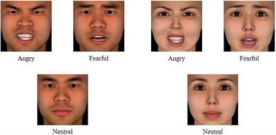 Not Only Top-Down: The Dual-Processing of Gender-Emotion Stereotypes